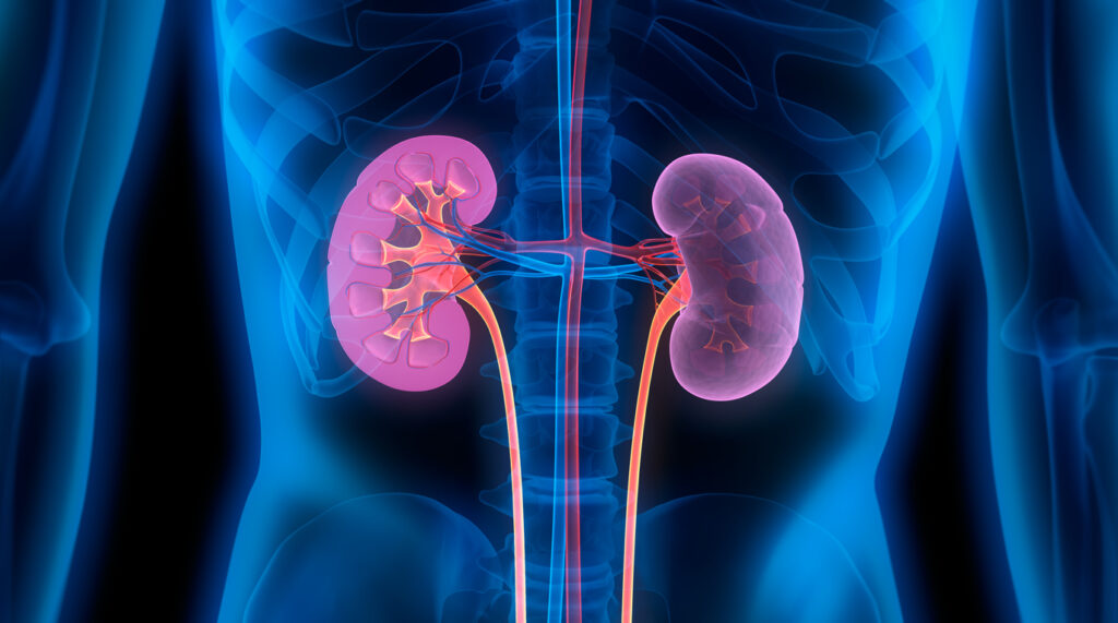 Renal Medicine