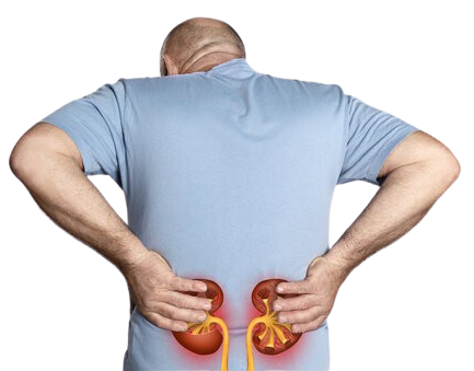Kidney Health Education